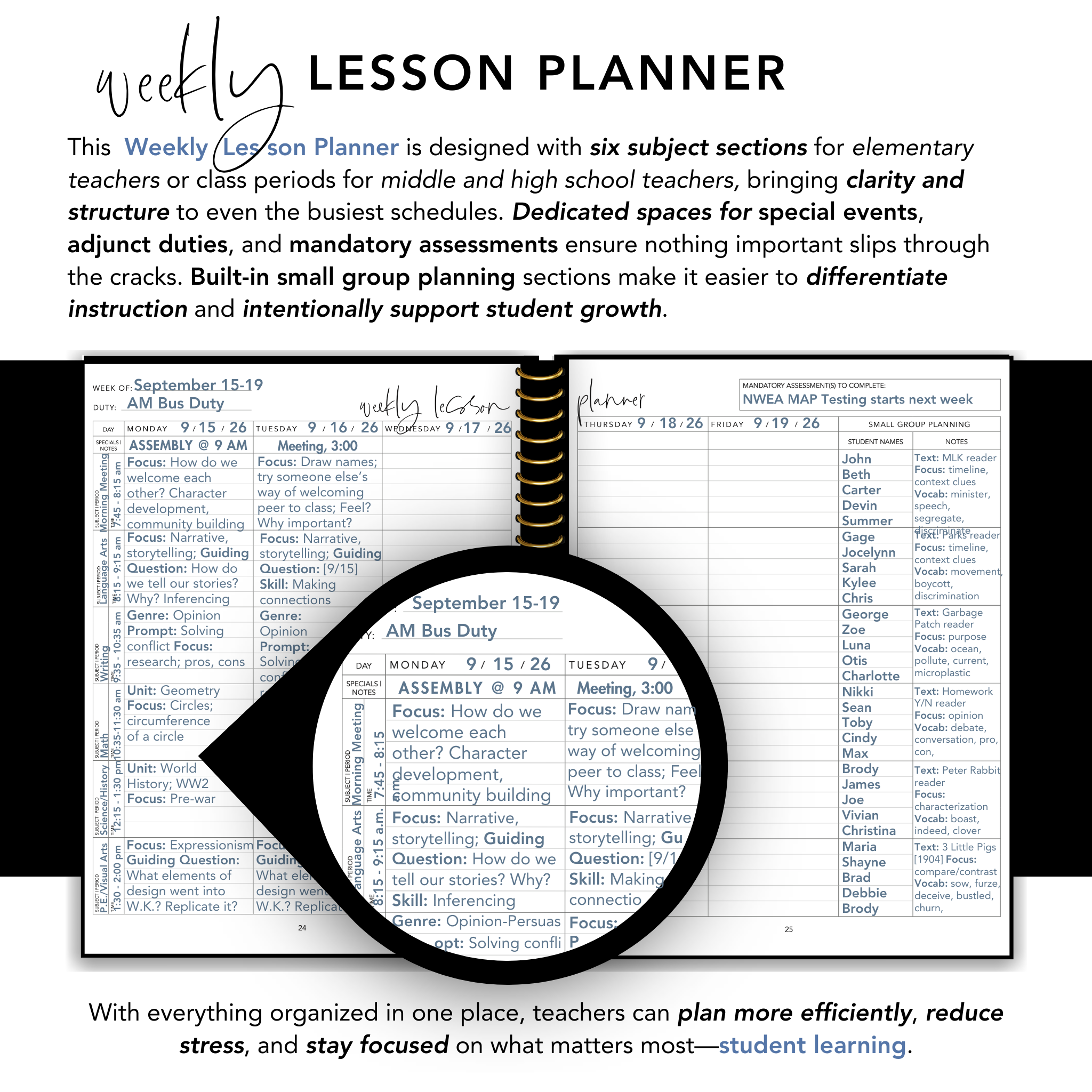 Classic Black Stripe Teacher Planner